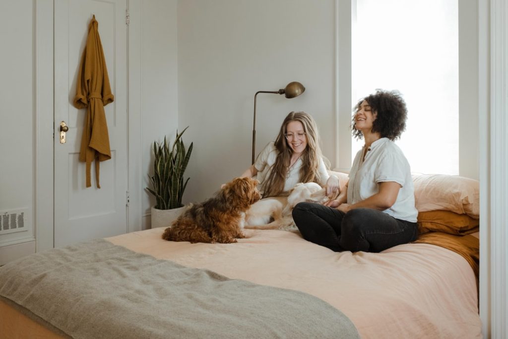 colocation et assurance habitation