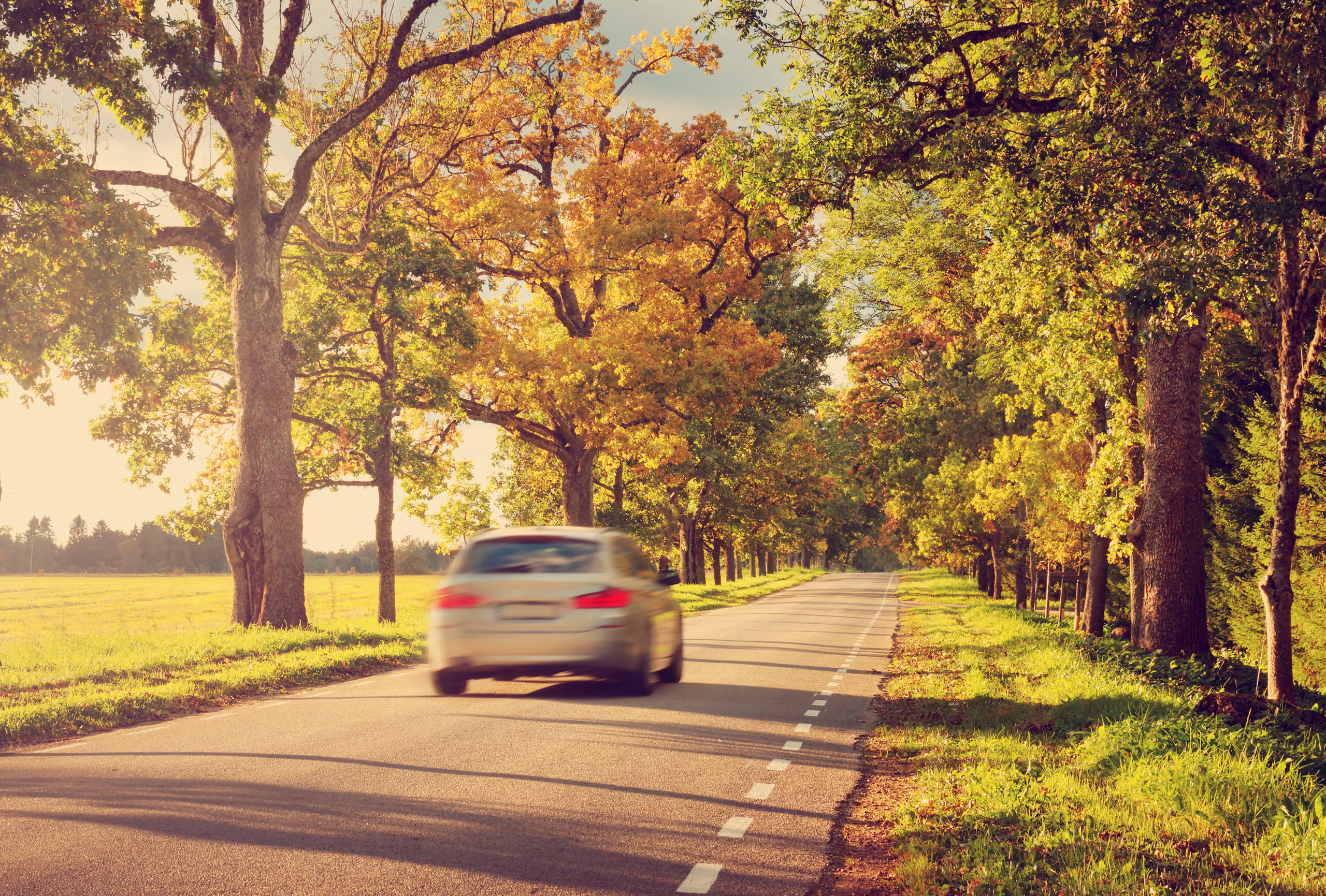 Conseils assurance auto tous risques